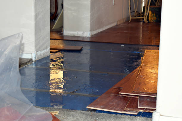 Professional Water Extraction technician working in Croswell, MI